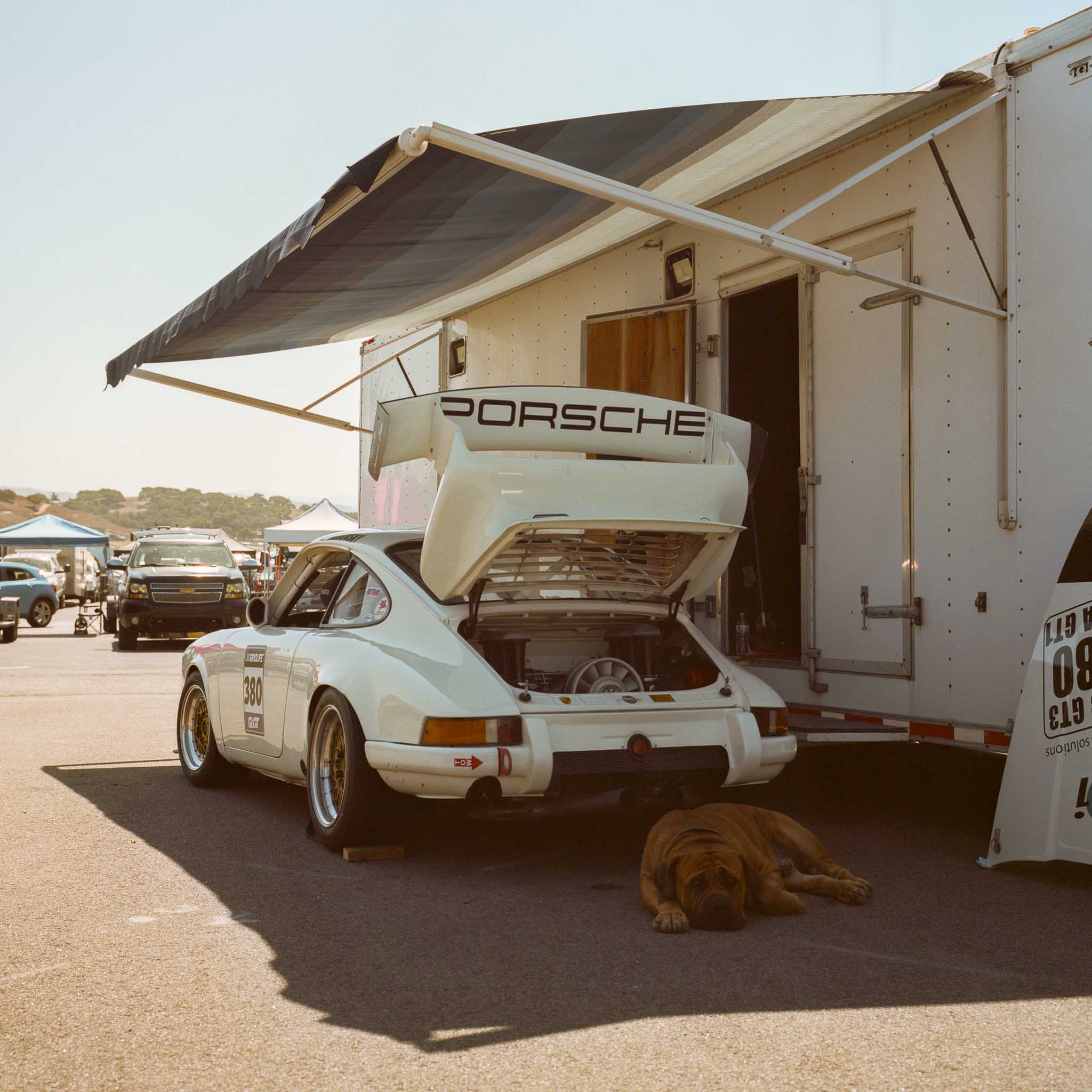 Porsche in the Shade