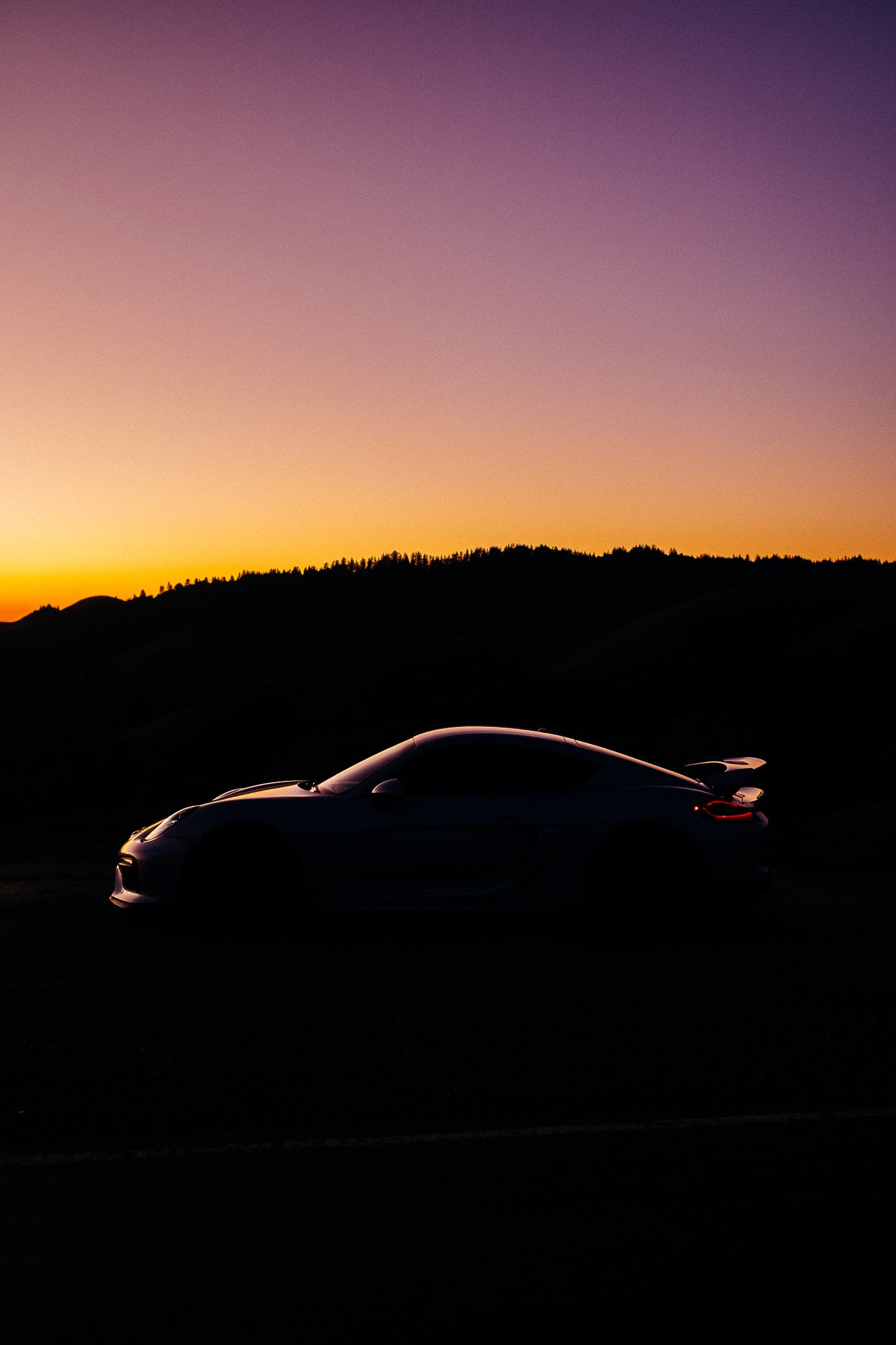 981 GT4