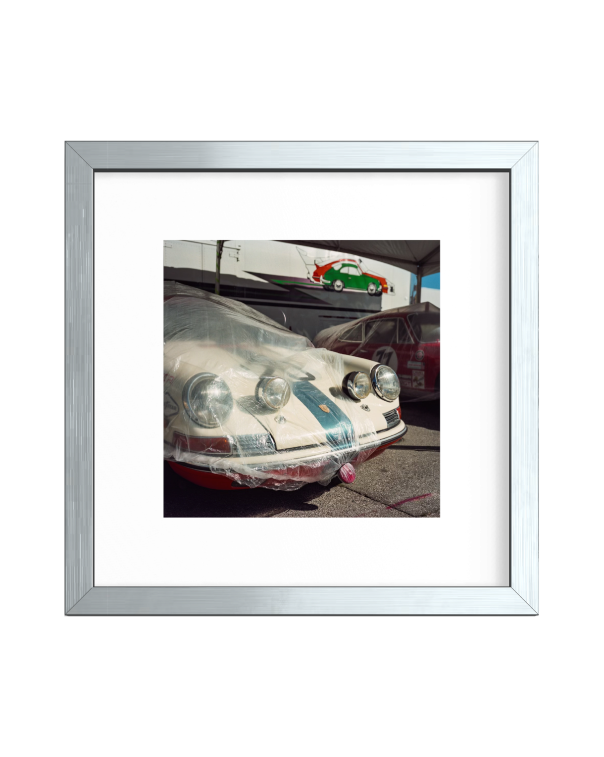 Peeking Out - 7 x 7
